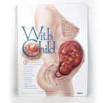 Childbirth Graphics With Child Display