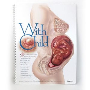 Childbirth Graphics With Child Display