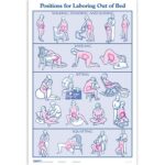 Positions For Laboring Out Of Bed Chart